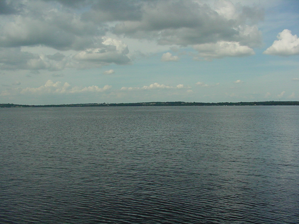 Lake Minneola from the boardwalk.