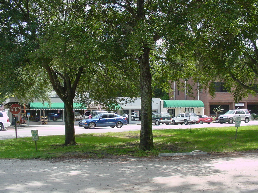 Shops of downtown Windermere.