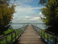 Lake Minneola Boardwalk.