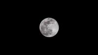 The moon at ninety-nine and eighty-two hundredths percent of fullness during the supermoon waxing gibbous phase.