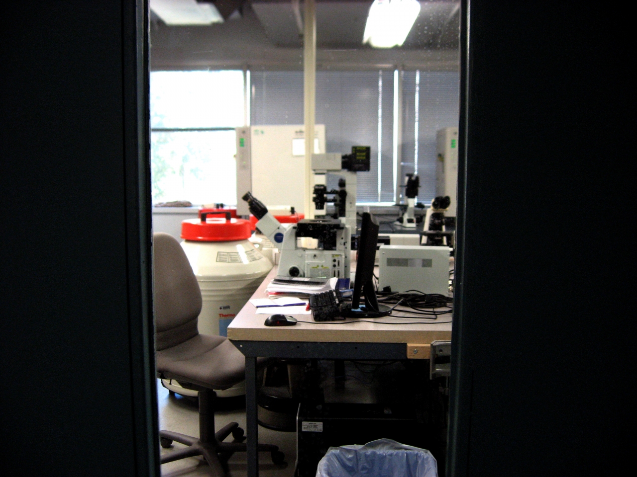 Microscope stations in a laboratory.