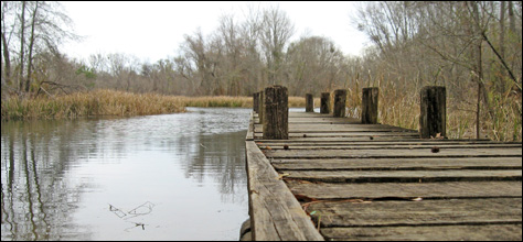 Photo Credit: David July — Boat ramp and wooden dock to the Chattahoochee River at Buena Vista Park, Buena Vista Landing, Jackson County, Florida, 25 February 2012