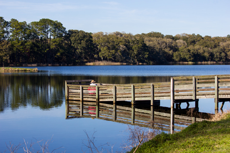 Photo Credit: David July — A man fishing on a small wooden pier on Piney Z Lake off Fishing Finger 2 in Lafayette Heritage Trail Park, Tallahassee, Florida: 08 March 2014