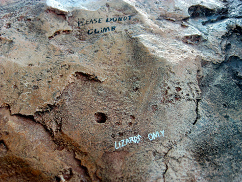 Photo Credit: David July — 'Please Do Not Climb' and 'Lizards Only' written on a Uzima Savanna Overlook rock at Animal Kingdom Lodge, Bay Lake, Florida, 25 July 2010