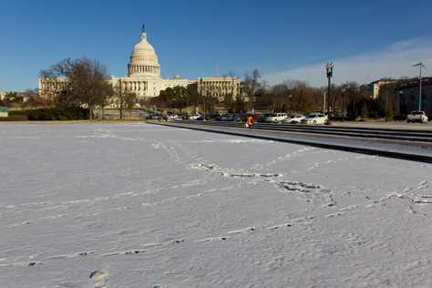 Photo Credit: David July — Footprints in the snow show where people walked over the completely frozen Capitol Reflecting Pool (1971) near the United States Capitol (1811/1866) and United States Botanic Garden (1867), Washington, District of Columbia: 29 January 2014