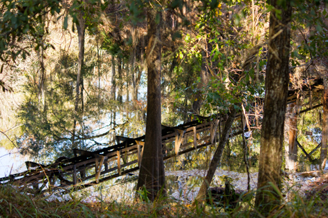 Photo Credit: David July — The swinging wooden suspension bridge (1935–1936) reflected in the waters of the Santa Fe River at O'Leno State Park, High Springs, Florida: 29 November 2014