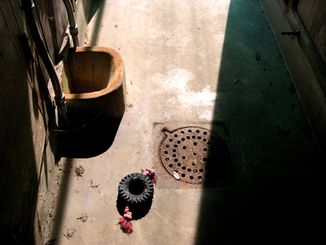 Photo Credit: David July — Cement sink, metal grate and a dog toy on the floor inside the Dog Hospital (1929) at Pebble Hill Plantation, 1251 US Highway 319 South, Thomasville, Georgia, 12 February 2011