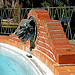Photo Credit: David July — Animal head fountain at the north end of the swimming pool (1920) at Pebble Hill Plantation, 1251 US Highway 319 South, Thomasville, Georgia, 12 February 2011