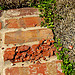 Photo Credit: David July — Broken brick in the Kitchen Garden (1917) walking path at Pebble Hill Plantation, 1251 US Highway 319 South, Thomasville, Georgia, 12 February 2011