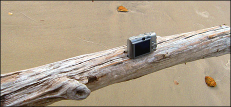 Photo Credit: David July — Claire's camera sits on fallen wood at the beach of Cape San Blas, near 142 Keepers Cottage Way, Port St. Joe, Florida, 14 March 2009