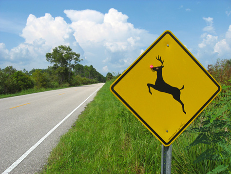 Photo Credit: David July — Someone added a pink nose and googly eyes to this deer crossing sign at St. Marks National Wildlife Refuge, Lighthouse Road, Plum Orchard, Florida, 22 August 2010