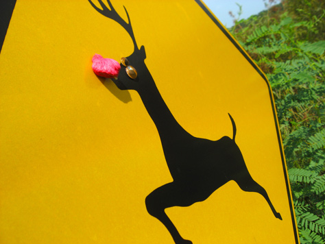 Photo Credit: David July — Someone added a pink nose and googly eyes to this deer crossing sign at St. Marks National Wildlife Refuge, Lighthouse Road, Plum Orchard, Florida, 22 August 2010