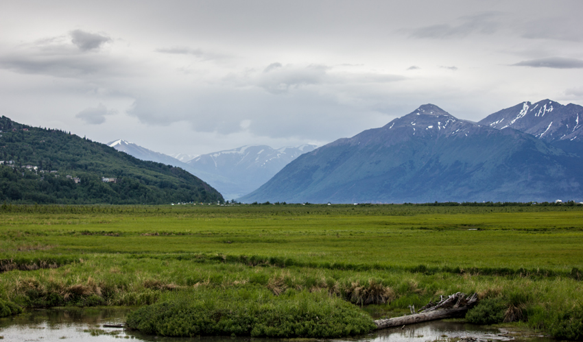A luscious green marshland separates the wildlife viewing boardwalk from the panoramic vista of Turnagain Arm at Potter Marsh in the Anchorage Coastal Wildlife Refuge.