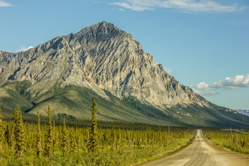 Dillon Mountain (4820 feet), spruce trees and the Trans-Alaska Pipeline (1977) along the Dalton Highway (AK 11) southbound