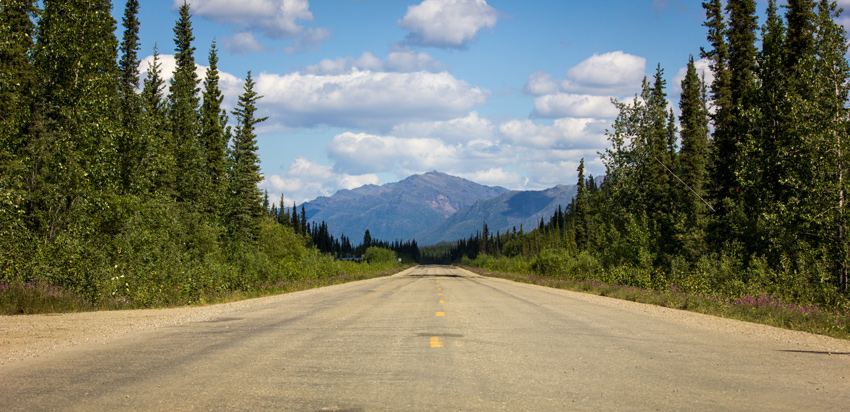 Northbound view of the Brooks Range from a paved section of tree-lined Dalton Highway at a turnout where the Trans-Alaska Pipeline passes underneath the roadway