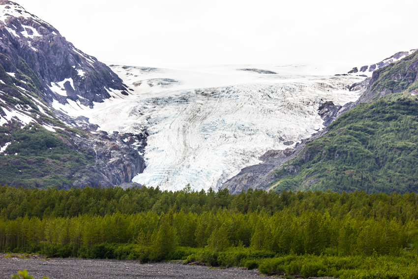 Exit Glacier from a turnout to its east