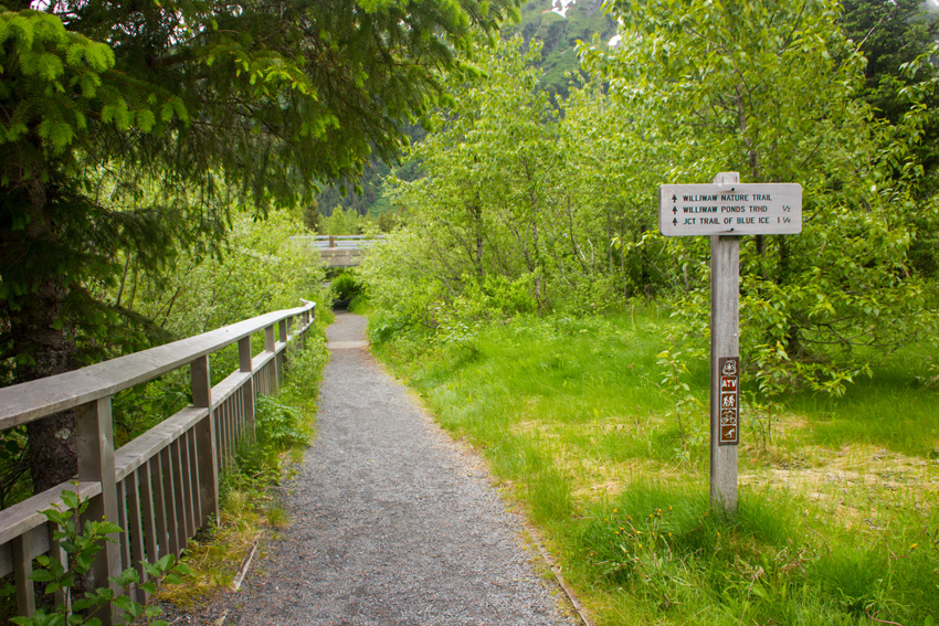 Signpost at the Williwaw Nature Trail trailhead near the Williwaw Fish Viewing Platform at Williwaw Campground in the Chugach National Forest