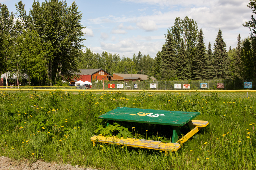 A green and yellow picnic table featuring a Subway-style logo for the Talkeetna Spurs softball team among tall grass and flowers next to the community ball park