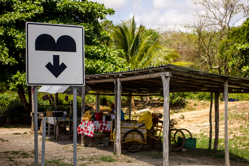 Speed bump sign and a roadside stand selling pineapple and juice in Pedro Antonio Santos Hamlet, Quintana Roo, Mexico