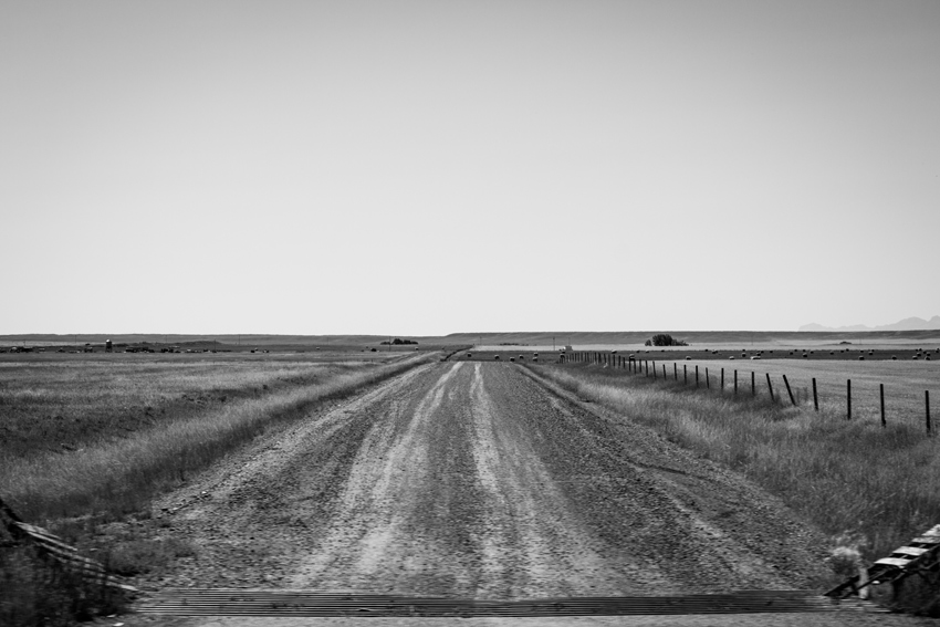 A cattle grid demarcates the start of dirt and gravel Chatterton Road leading to agricultural lands inside the Blackfeet Indian Reservation.