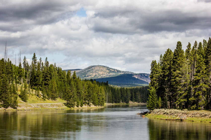 Trees and woodlands line the Yellowstone River near the Mary Mountain East Trailhead as it flows north toward Otter Creek with the 9,380-foot summit of Observation Peak visible beyond.