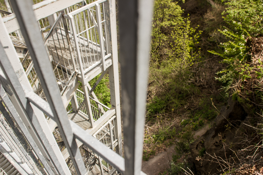 Looking down toward Niagara Glen Nature Reserve's Main Loop Trail along the Wintergreen Cliff from atop an eighty-stair metal access tower near the Niagara Glen Nature Centre.