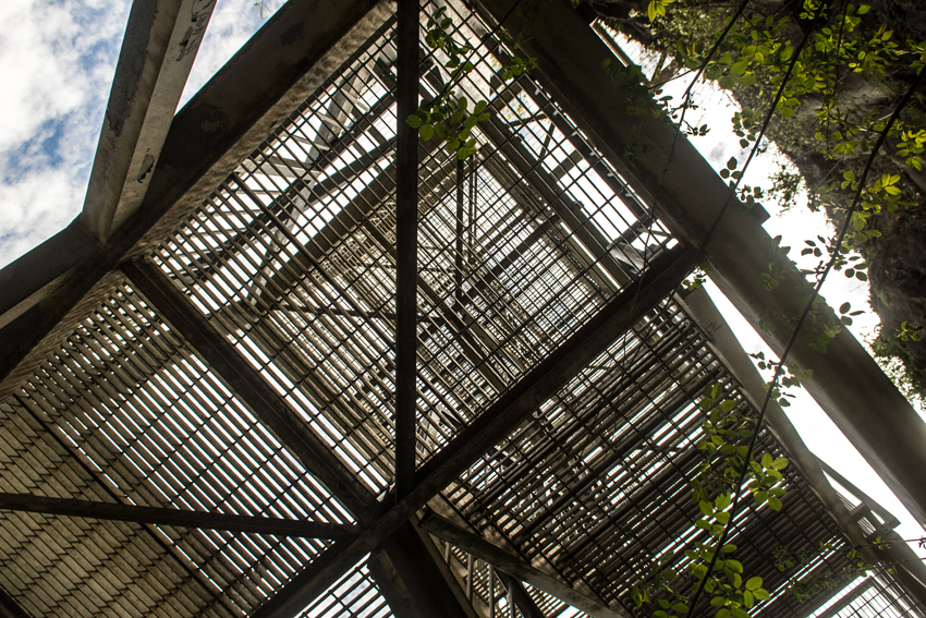 Looking up from Niagara Glen Nature Reserve's Main Loop Trail along the Wintergreen Cliff from inside an eighty-stair metal access tower to the Niagara Glen Nature Centre.